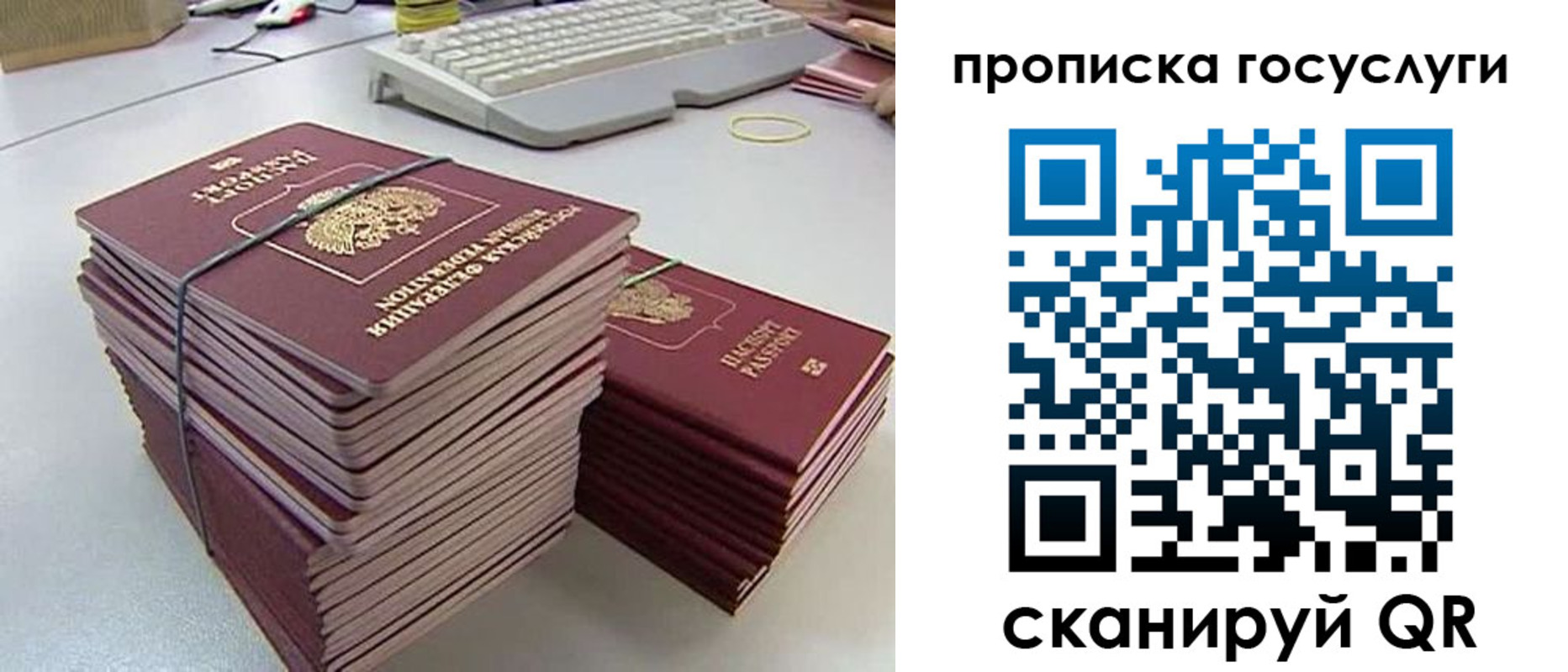 временная регистрация для школы в Краснодарском крае
